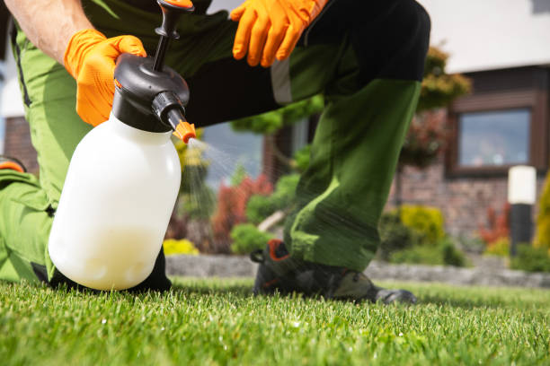 Professional Pest Control in St John, KS