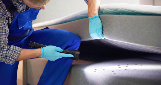 Best Pest Control Near Me  in St John, KS